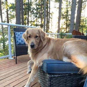 Meet your Posher, Lesley